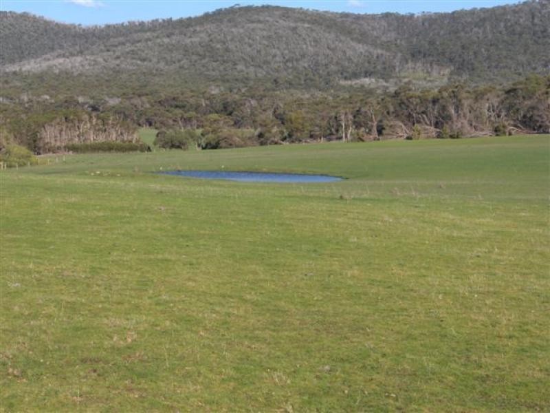 60 Kuhns Road Memana, Flinders Island TAS 7255