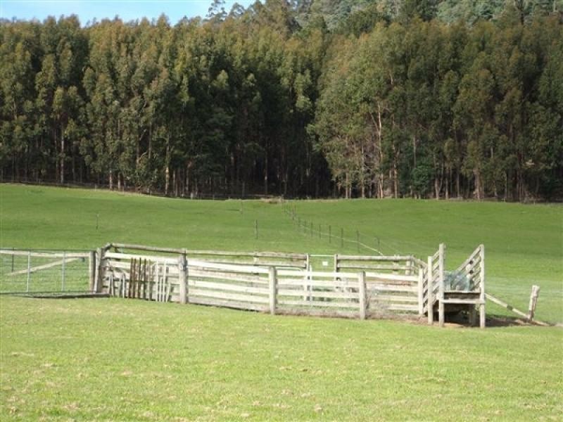 146 Smiths Road, Flowery Gully TAS 7270