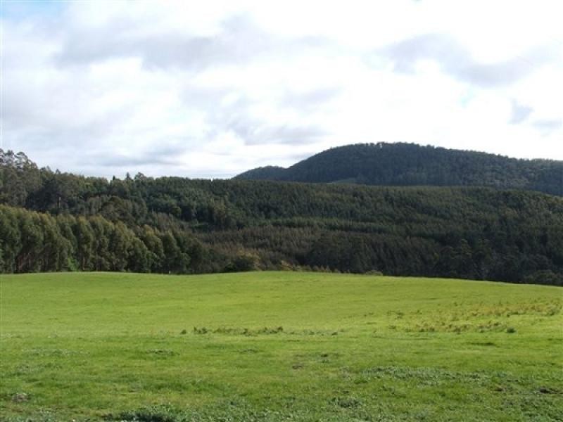 146 Smiths Road, Flowery Gully TAS 7270