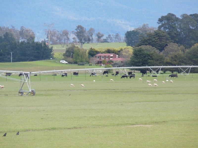 1926 Cressy Road, Cressy TAS 7302