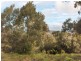 Flinders Island TAS 7255