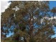 Flinders Island TAS 7255