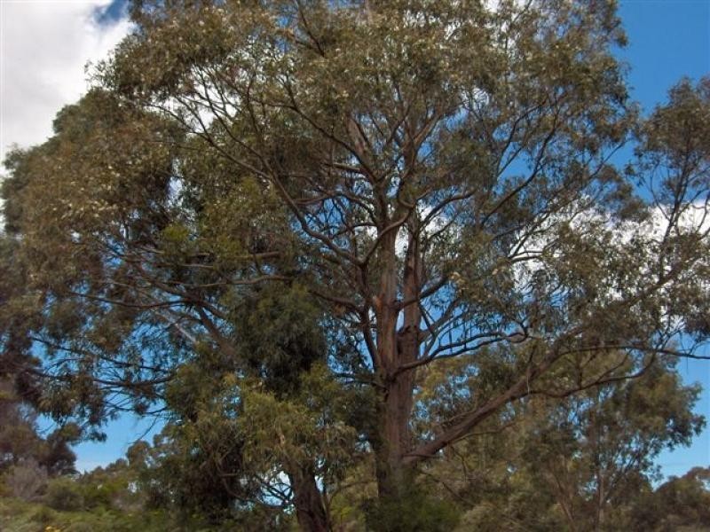 Flinders Island TAS 7255