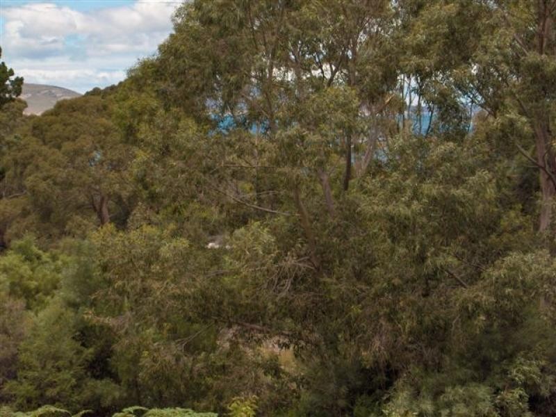 Flinders Island TAS 7255