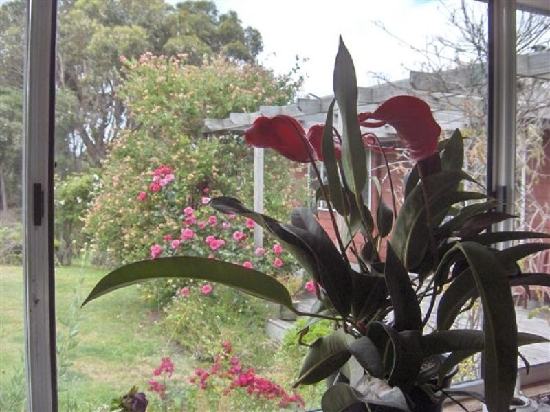 4 Pot Boil Road, Lady Barron, Flinders Island TAS 7255