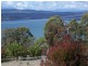 319 Motor Road, Deviot TAS 7275