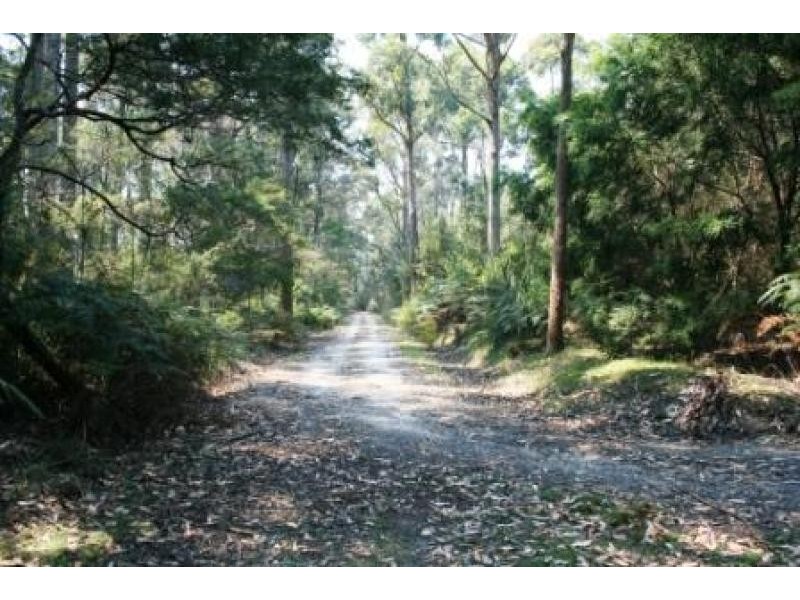 5558 Bridport Road, Pipers River TAS 7252