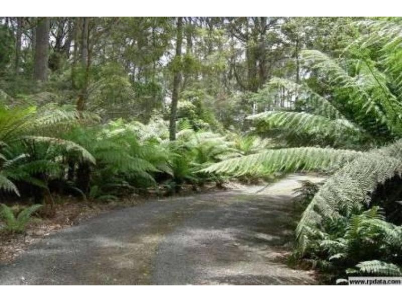 5558 Bridport Road, Pipers River TAS 7252