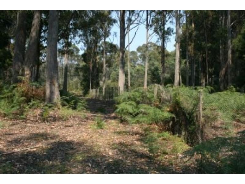 5558 Bridport Road, Pipers River TAS 7252