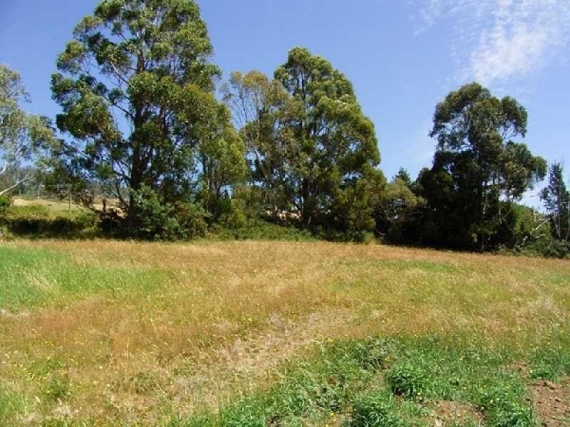 7 Rosevears Drive, Legana TAS 7277