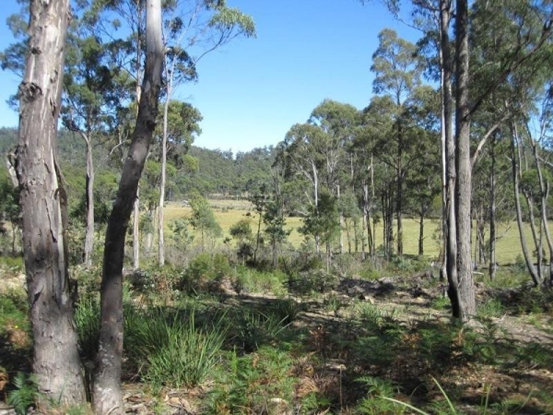 942 Lilydale Road, Underwood TAS 7268