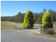 942 Lilydale Road, Underwood TAS 7268