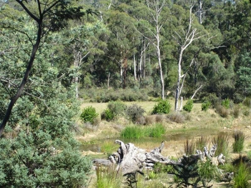 942 Lilydale Road, Underwood TAS 7268
