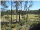 942 Lilydale Road, Underwood TAS 7268