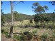 942 Lilydale Road, Underwood TAS 7268