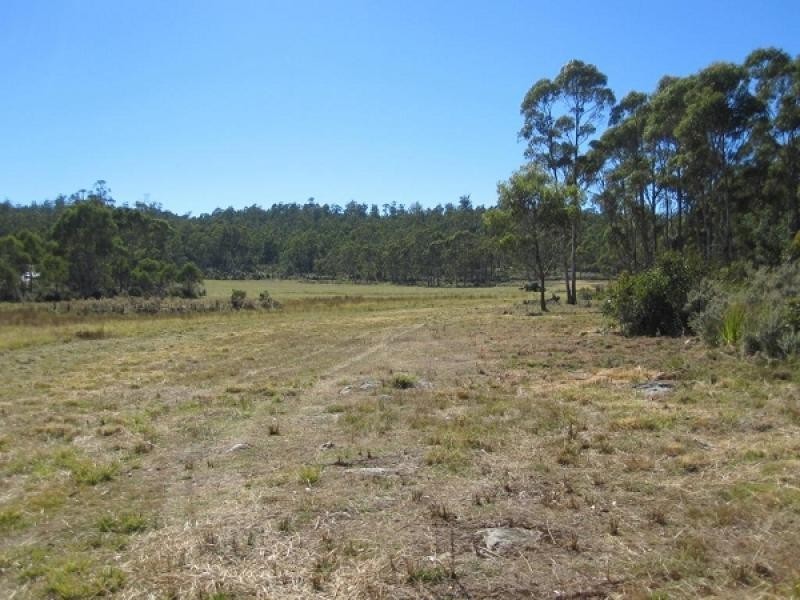 942 Lilydale Road, Underwood TAS 7268
