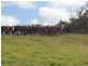 1173 Fairhaven Road, Memana, Flinders Island TAS 7255