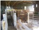 1173 Fairhaven Road, Memana, Flinders Island TAS 7255