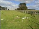 1173 Fairhaven Road, Memana, Flinders Island TAS 7255