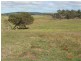 1173 Fairhaven Road, Memana, Flinders Island TAS 7255