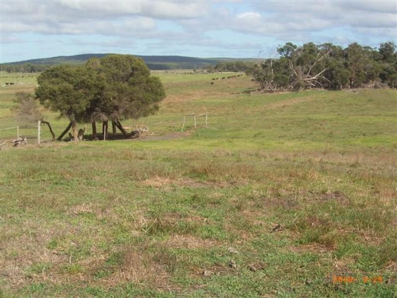 1173 Fairhaven Road, Memana, Flinders Island TAS 7255