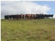 1173 Fairhaven Road, Memana, Flinders Island TAS 7255