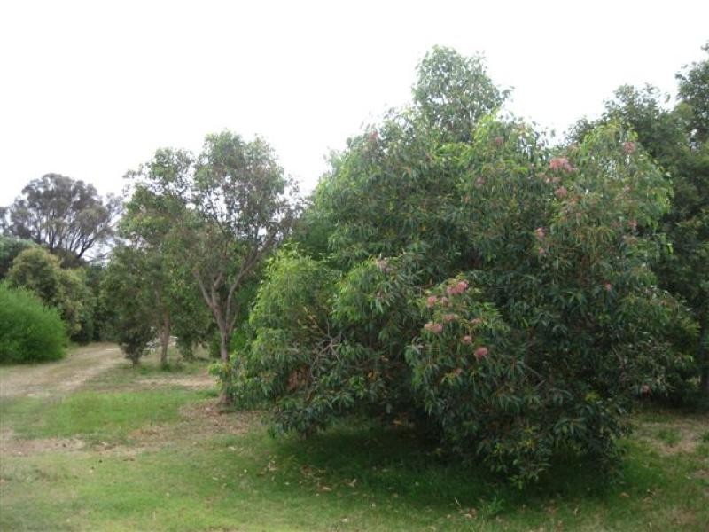 21 Bluff Road, Flinders Island TAS 7255