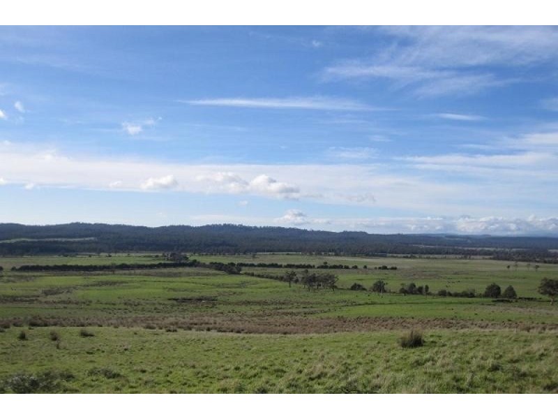 1019 Dalrymple Road, Mount Direction TAS 7252