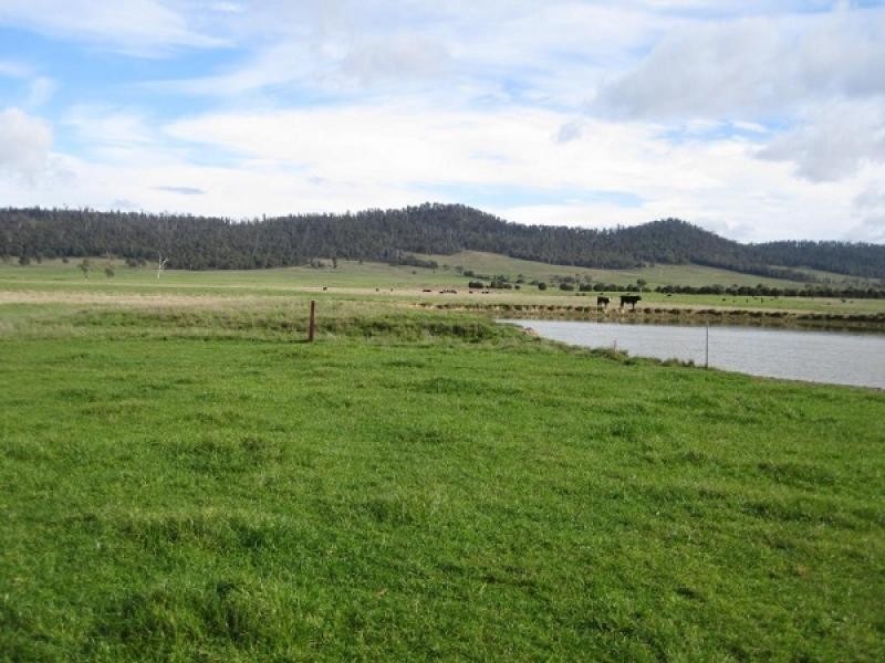 1019 Dalrymple Road, Mount Direction TAS 7252