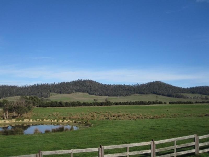 1019 Dalrymple Road, Mount Direction TAS 7252