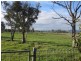 1019 Dalrymple Road, Mount Direction TAS 7252