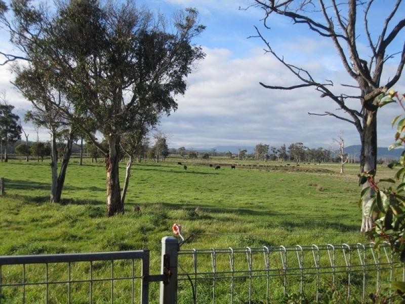 1019 Dalrymple Road, Mount Direction TAS 7252
