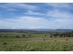 1019 Dalrymple Road, Mount Direction TAS 7252