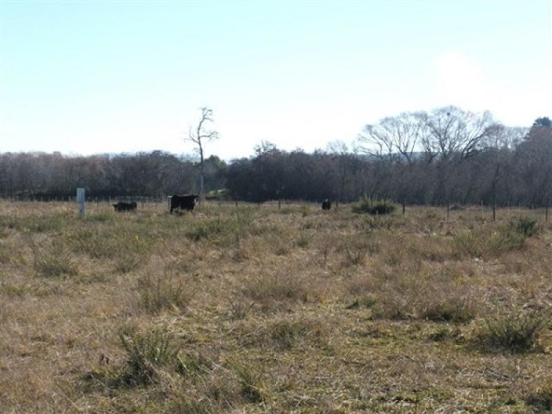 104 Mary Street, Westbury TAS 7303