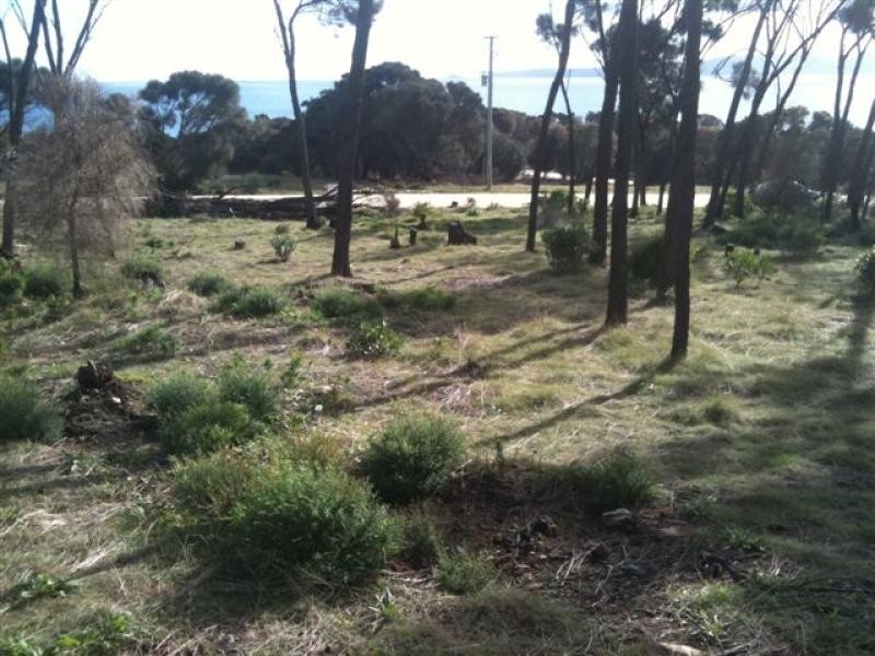 179 Port Davies Road, Flinders Island TAS 7255