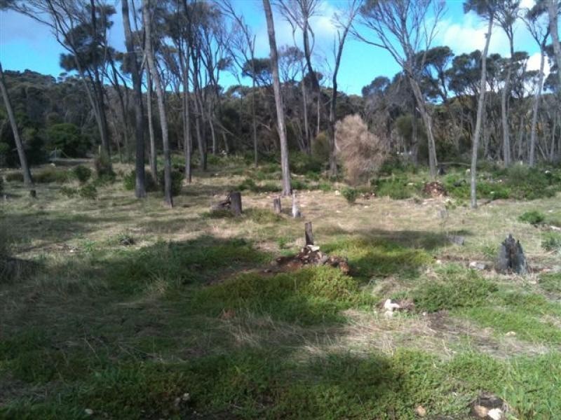 179 Port Davies Road, Flinders Island TAS 7255