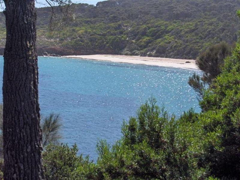 179 Port Davies Road, Flinders Island TAS 7255