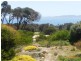 179 Port Davies Road, Flinders Island TAS 7255