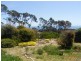 179 Port Davies Road, Flinders Island TAS 7255