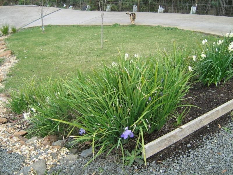 Blackstone Heights TAS 7250