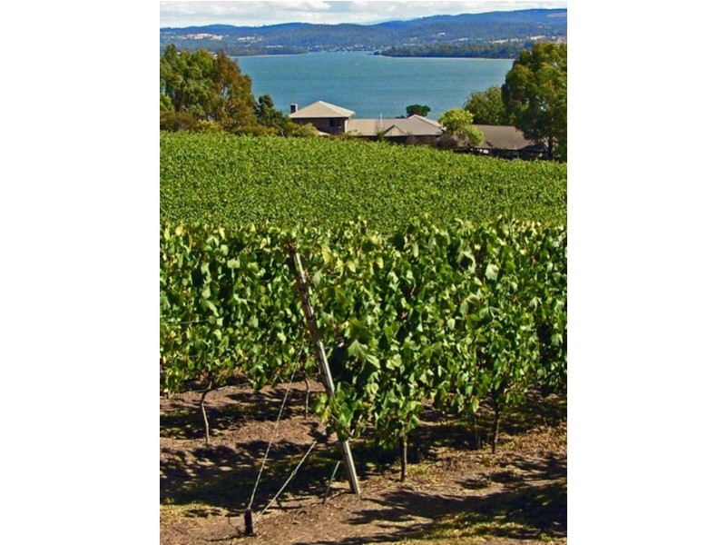 119 Leam Road, Hillwood TAS 7252