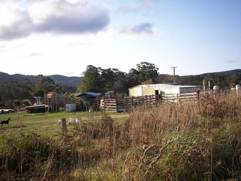 471 Evercreech Road, Mathinna TAS 7214