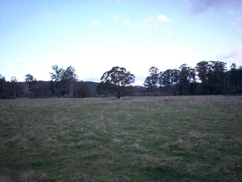 471 Evercreech Road, Mathinna TAS 7214