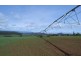 169 Mole Creek Road, Deloraine TAS 7304
