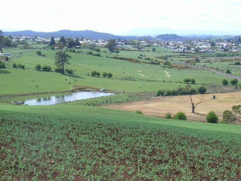 169 Mole Creek Road, Deloraine TAS 7304