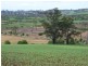 169 Mole Creek Road, Deloraine TAS 7304