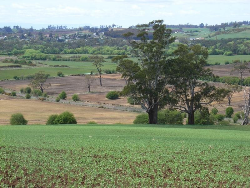 169 Mole Creek Road, Deloraine TAS 7304