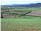 169 Mole Creek Road, Deloraine TAS 7304