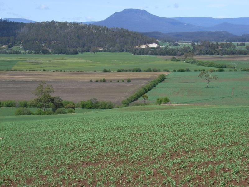 169 Mole Creek Road, Deloraine TAS 7304