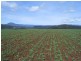 169 Mole Creek Road, Deloraine TAS 7304
